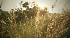 Screen Shot 2015-02-17 at 8.39.16 PM